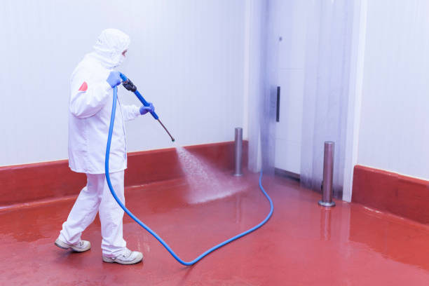 Boat and Dock Cleaning in Hamburg, PA